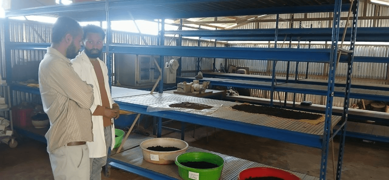 Ethiolab team touring the coffee quality facility
